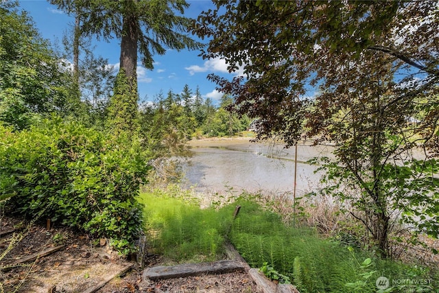 19517 Whiteman Cove Rd SW, Longbranch, WA 98351 - water view