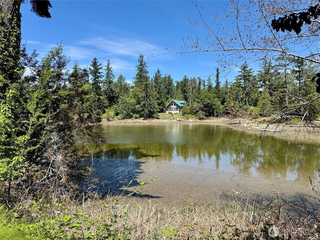 19517 Whiteman Cove Rd SW, Longbranch, WA 98351 - water view