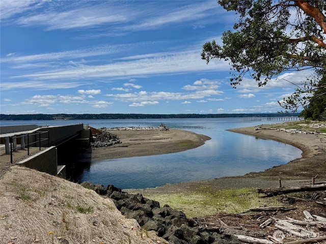 19517 Whiteman Cove Rd SW, Longbranch, WA 98351 - water view