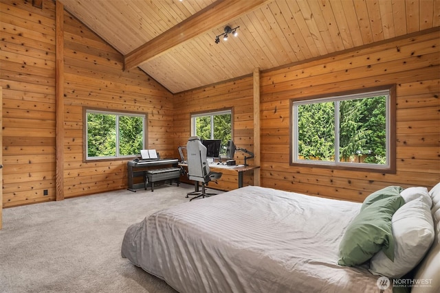 7717 252nd Ave NE, Redmond, WA 98053 - carpeted bedroom featuring multiple windows, wooden walls, wooden ceiling, and track lighting
