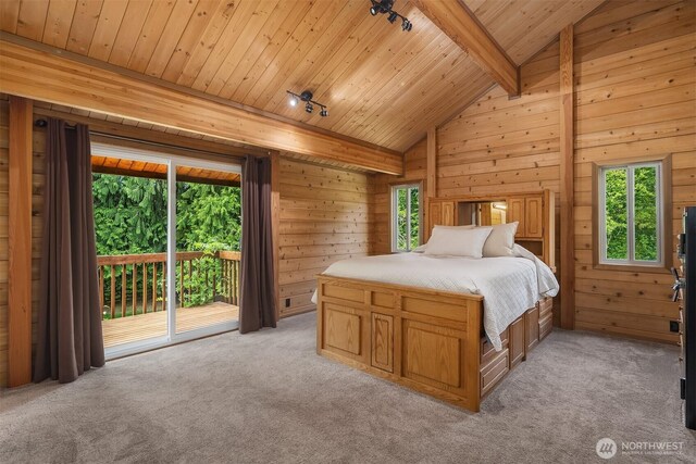 7717 252nd Ave NE, Redmond, WA 98053 - bedroom with access to outside, rail lighting, multiple windows, light carpet, and wood ceiling