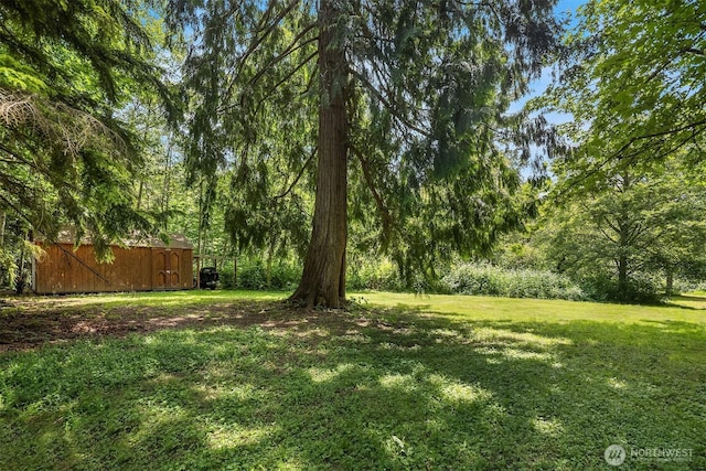 7717 252nd Ave NE, Redmond, WA 98053 - view of grassy yard with an outdoor structure