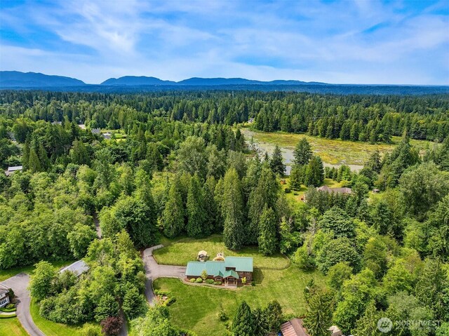 7717 252nd Ave NE, Redmond, WA 98053 - bird's eye view of a heavily wooded area and mountains