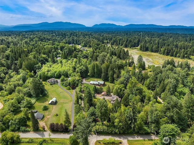 7717 252nd Ave NE, Redmond, WA 98053 - bird's eye view of mountains