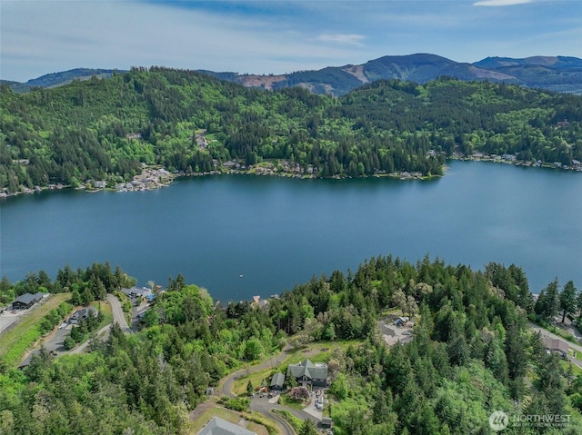1944 Summit Lake Shore Rd NW, Olympia, WA 98502 - photo 3