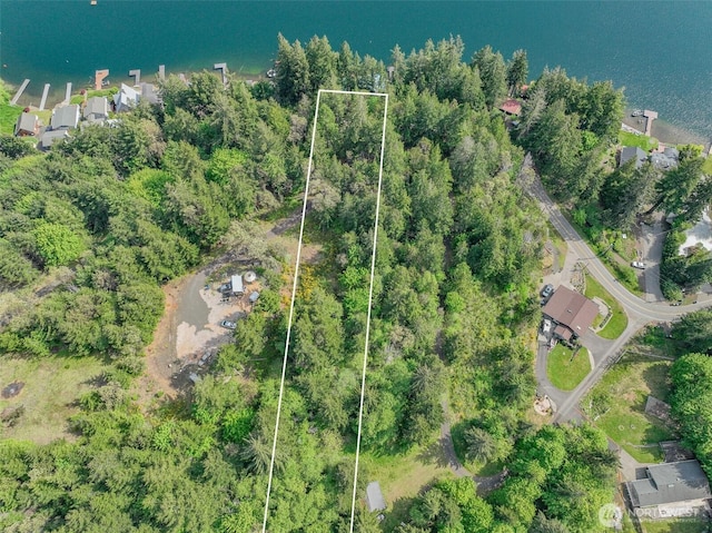 1944 Summit Lake Shore Rd NW, Olympia, WA 98502 - photo 5
