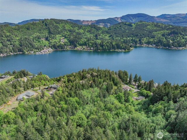 1944 Summit Lake Shore Rd NW, Olympia, WA 98502 - photo 6