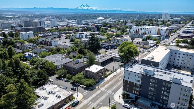 801 Martin Luther King Jr Way, Tacoma, WA 98405 - view of urban area featuring a mountain backdrop