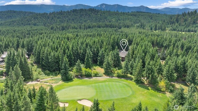 141 Just In Time Ln, Cle Elum, WA 98922 - aerial overview of property's location with a heavily wooded area and a mountain backdrop