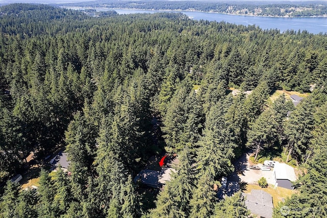 856 Island Blvd, Fox Island, WA 98333 - view of property location with a heavily wooded area and a large body of water