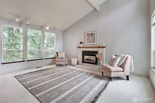 33615 30th Ave SW, Federal Way, WA 98023 - sitting room with rail lighting, carpet, and a brick fireplace