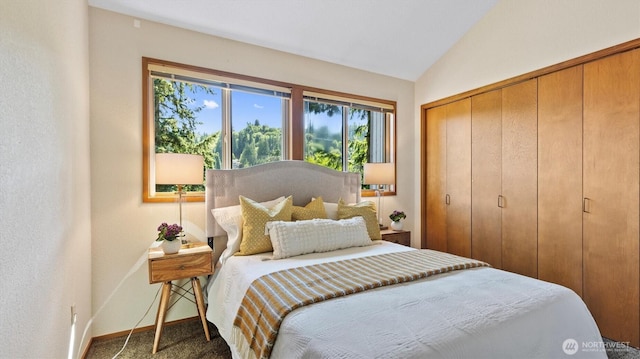 9623 NE Riverbend Dr Unit 2B, Bothell, WA 98011 - carpeted bedroom with multiple windows, a closet, and lofted ceiling