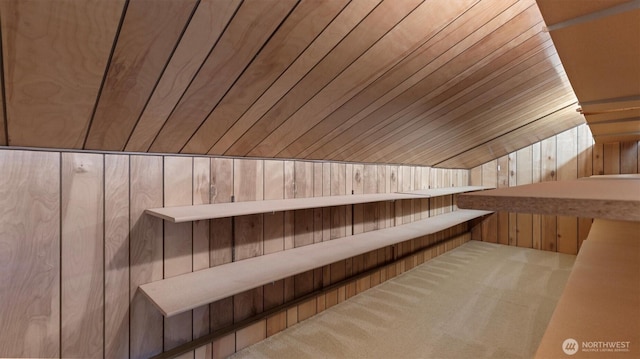 9623 NE Riverbend Dr Unit 2B, Bothell, WA 98011 - relaxing sauna / steam room featuring wooden walls and carpet