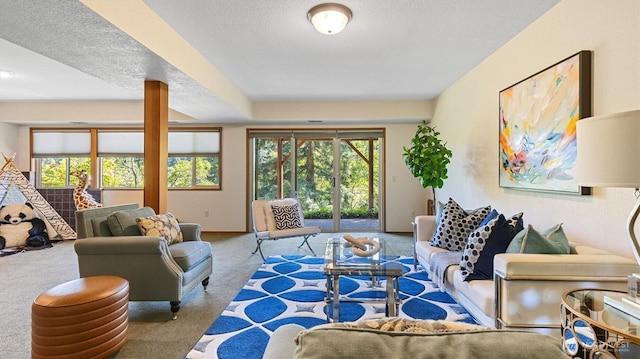 9623 NE Riverbend Dr Unit 2B, Bothell, WA 98011 - living room featuring carpet flooring and a textured ceiling
