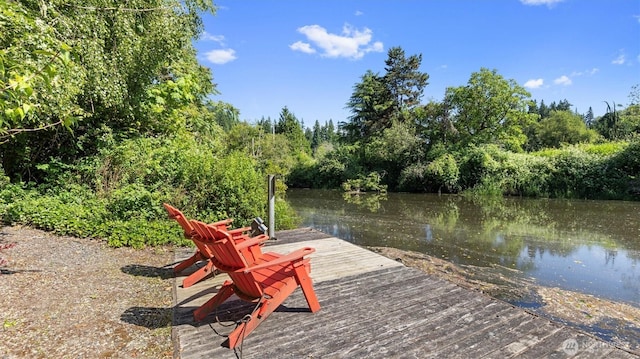 9623 NE Riverbend Dr Unit 2B, Bothell, WA 98011 - dock area with a water view and a forest view