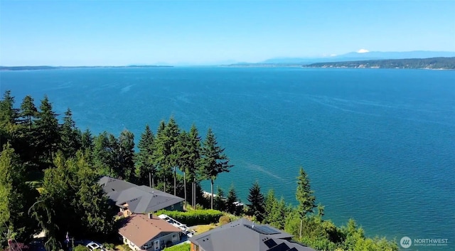 2923 Viewmont Pl, Camano Island, WA 98282 - photo 32