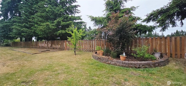 5903 187th Ave SW, Rochester, WA 98579 - view of fenced backyard