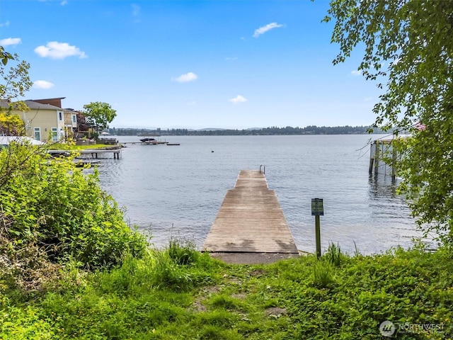1606 94th Ave NE, Lake Stevens, WA 98258 - dock with a water view
