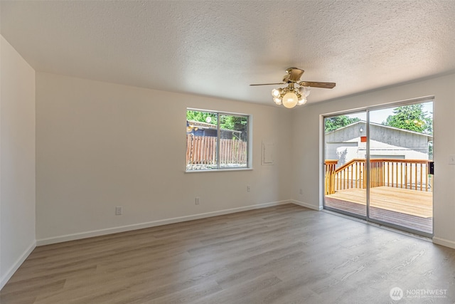 12124 SE 161st St, Renton, WA 98058 - spare room featuring light wood finished floors, plenty of natural light, a ceiling fan, and a textured ceiling