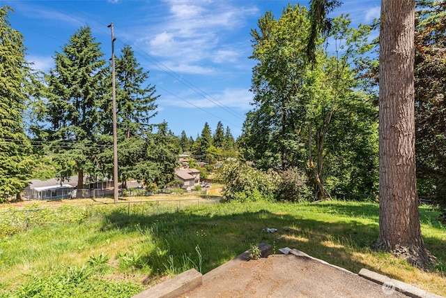 12124 SE 161st St, Renton, WA 98058 - view of yard