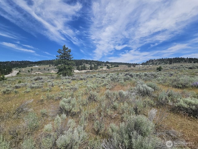 716X Havillah Rd, Tonasket, WA 98855