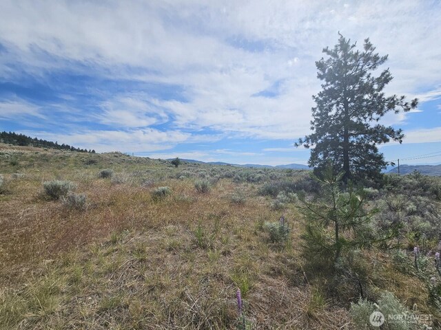 716X Havillah Rd, Tonasket, WA 98855