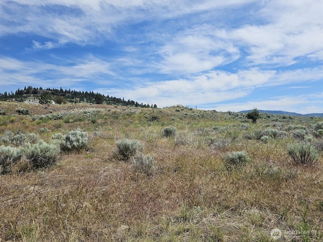 716X Havillah Rd, Tonasket, WA 98855