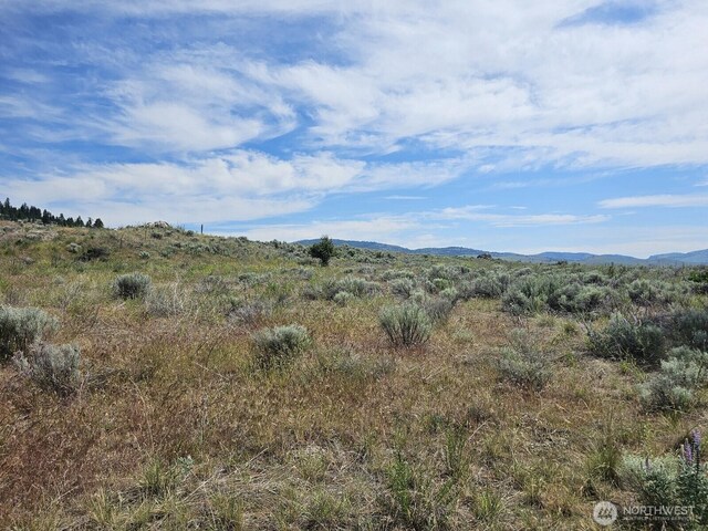 716X Havillah Rd, Tonasket, WA 98855