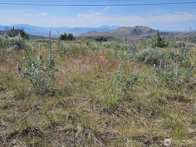 716X Havillah Rd, Tonasket, WA 98855