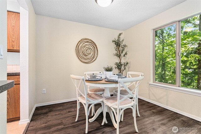 3100 Bill Mcdonald Pkwy Unit E101, Bellingham, WA 98225 - dining space featuring plenty of natural light, wood finished floors, and a textured ceiling