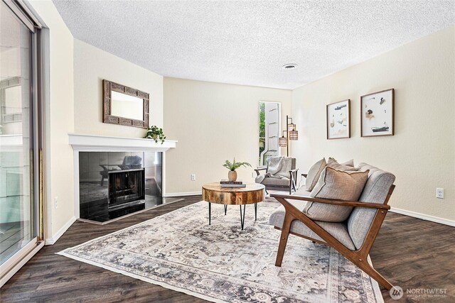 3100 Bill Mcdonald Pkwy Unit E101, Bellingham, WA 98225 - living area with dark wood-type flooring, a textured ceiling, and a tile fireplace