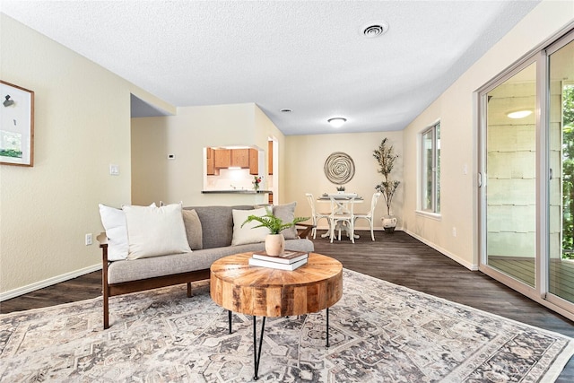 3100 Bill Mcdonald Pkwy Unit E101, Bellingham, WA 98225 - living room with wood finished floors and a textured ceiling