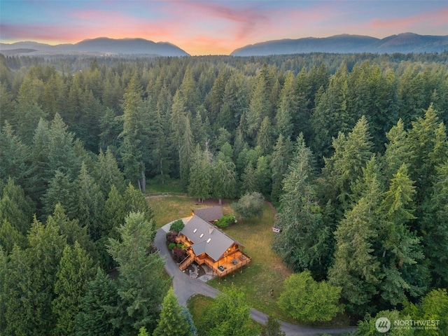 19701 236th Ave SE, Maple Valley, WA 98038 - photo 3