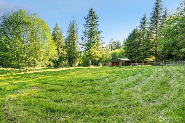 19701 236th Ave SE, Maple Valley, WA 98038 - photo 37