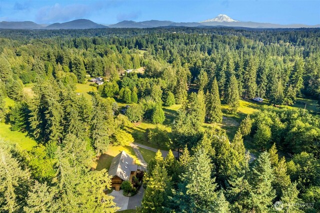 19701 236th Ave SE, Maple Valley, WA 98038 - photo 40