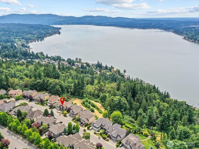 2135 204th Pl NE, Sammamish, WA 98074 - aerial perspective of suburban area featuring a water and mountain view