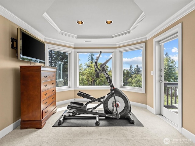 2135 204th Pl NE, Sammamish, WA 98074 - exercise room with plenty of natural light, light colored carpet, a tray ceiling, and crown molding