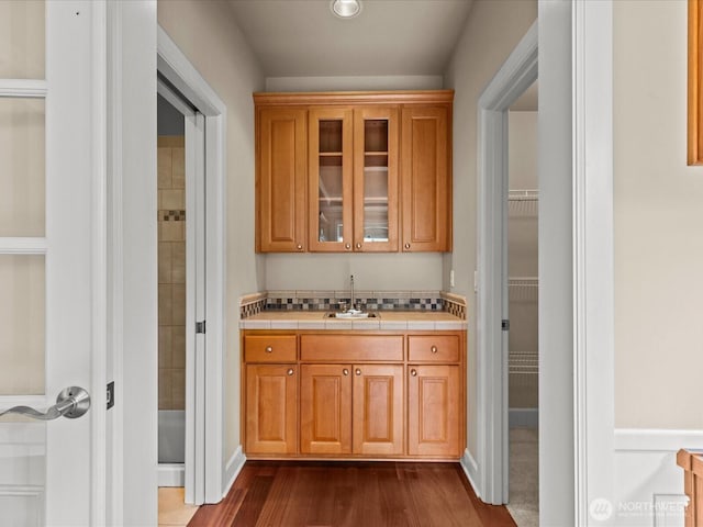 2135 204th Pl NE, Sammamish, WA 98074 - bar area with a sink and dark wood-style flooring