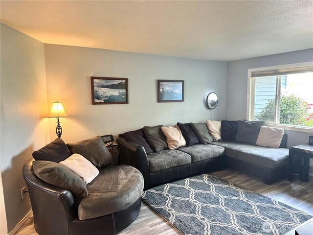 4313 131st St SE, Everett, WA 98208 - living room featuring light wood-style floors