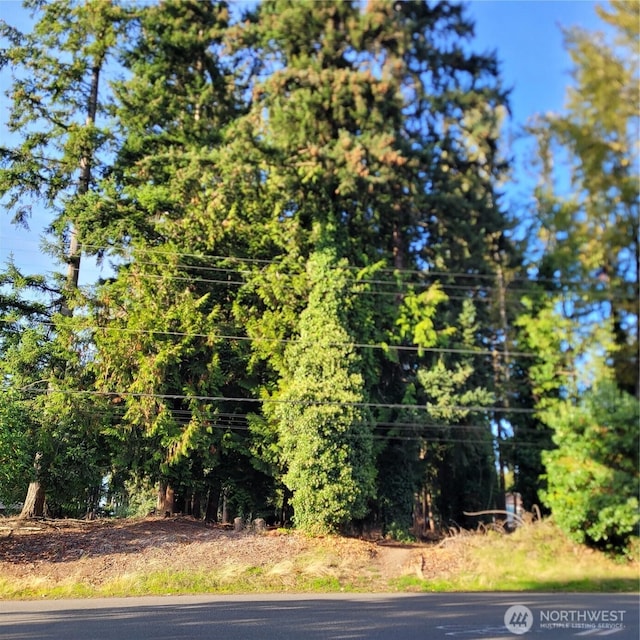 33010 17th Pl S Unit A-108, Federal Way, WA 98003 - view of asphalt street