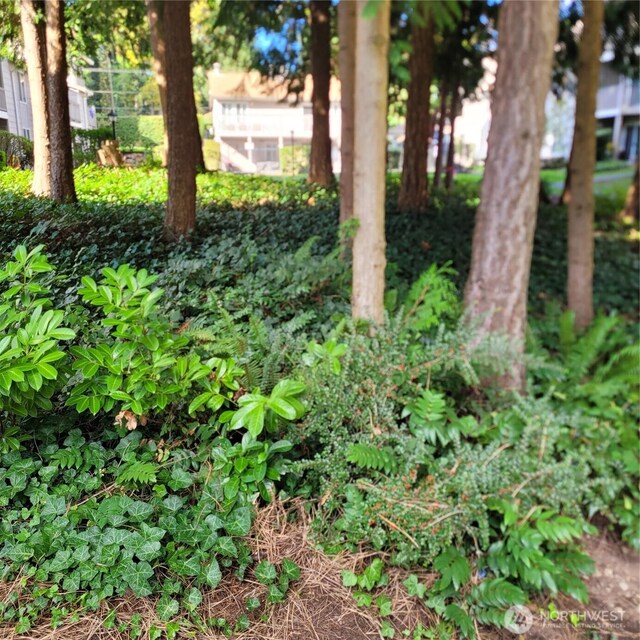 33010 17th Pl S Unit A-108, Federal Way, WA 98003 - view of yard