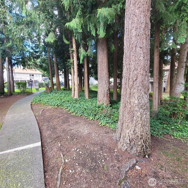 33010 17th Pl S Unit A-108, Federal Way, WA 98003 - view of community