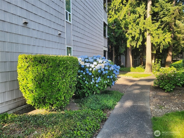 33010 17th Pl S Unit A-108, Federal Way, WA 98003 - view of side of property