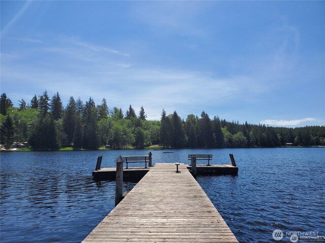 300 W Arrowhead Dr, Elma, WA 98541 - photo 3