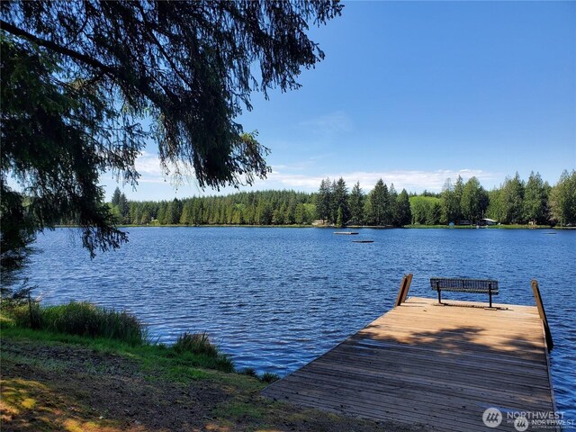 300 W Arrowhead Dr, Elma, WA 98541 - photo 14