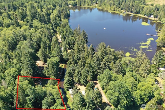 300 W Arrowhead Dr, Elma, WA 98541 - photo 4