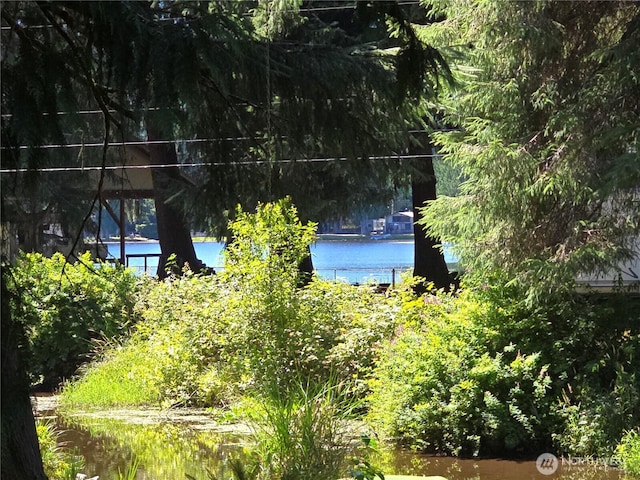 300 W Arrowhead Dr, Elma, WA 98541 - photo 2
