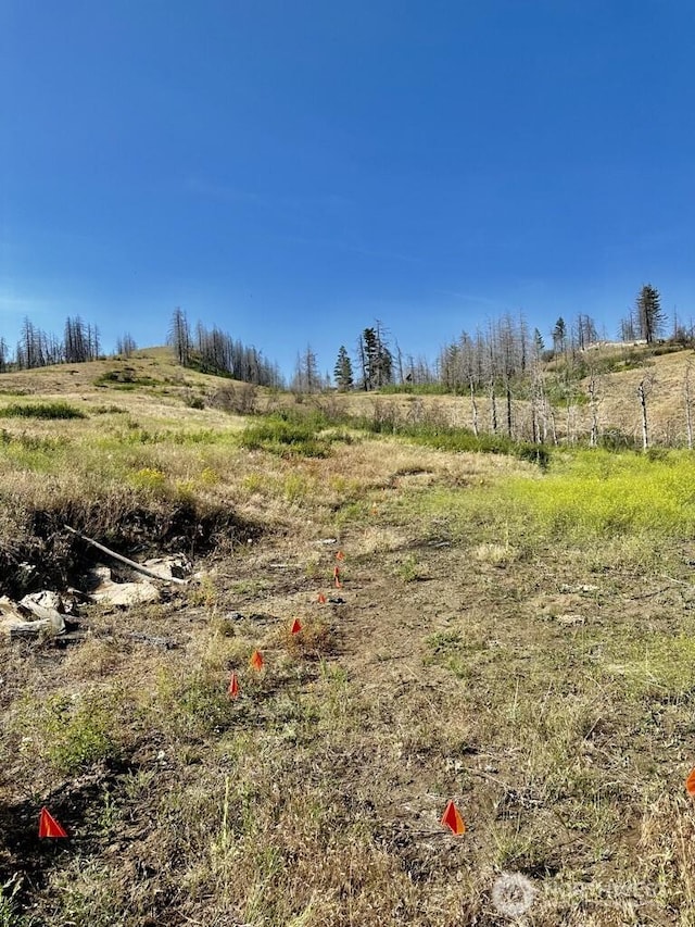 0 Eighme Rd, Oroville, WA 98844