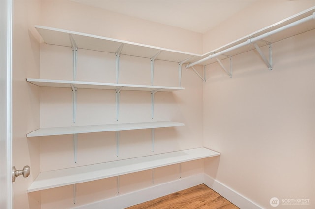 515 N 122nd St, Seattle, WA 98133 - walk in closet with light wood-style flooring