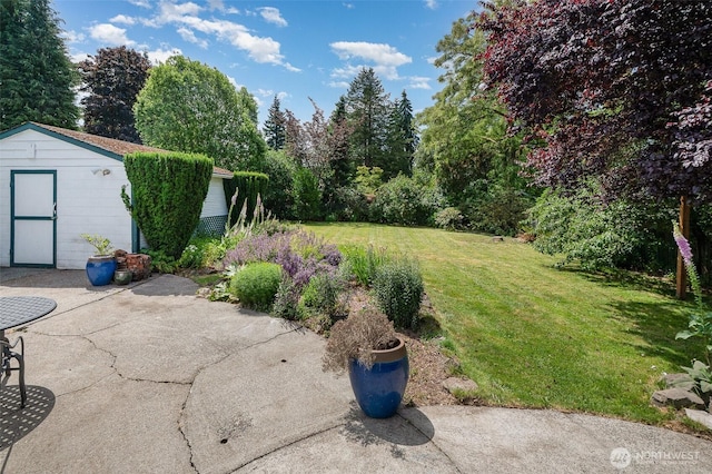 515 N 122nd St, Seattle, WA 98133 - view of grassy yard featuring a patio and a shed